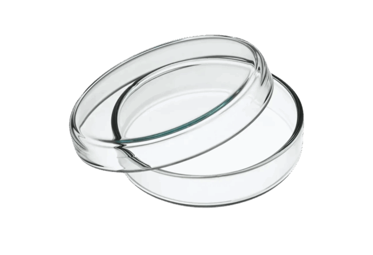 Petri Dishes
