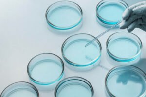 Petri Dishes Explained: Everything You Need to Know